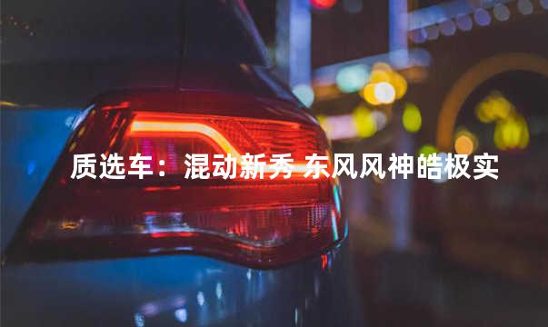 质选车：混动新秀 东风风神皓极实力几何